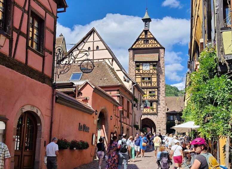 Picture 16 for Activity From Colmar: Haut-Koenigsbourg Castle & Alsace Wine Route 3