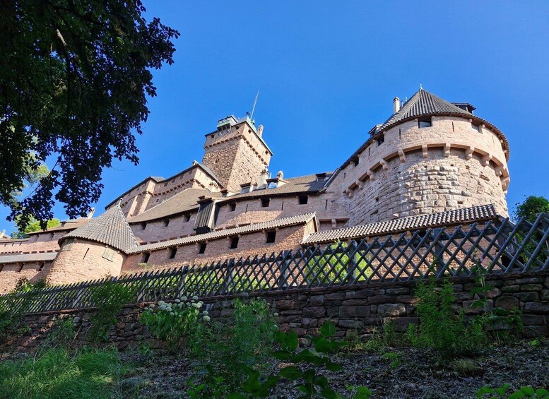Picture 4 for Activity From Colmar: Haut-Koenigsbourg Castle & Alsace Wine Route 4