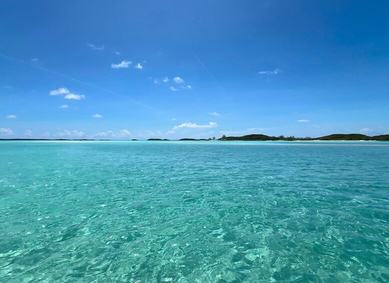 Picture 99 for Activity Nassau: 3 Islands Tour, Snorkel, Pig Beach, Turtles & Lunch 5