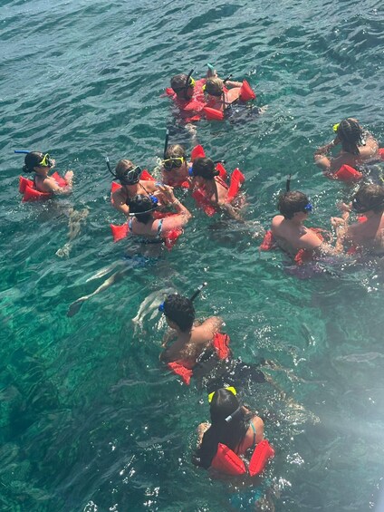 A group of people snorkeling in clear blue water. 2