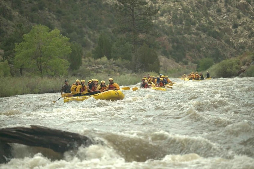 A group of people rafting down a river surrounded by trees and rocky terrain. 3