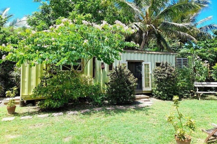 Private Art & Culture Tour in Tortola Virgin Islands 5