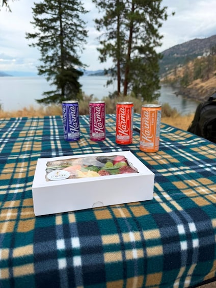 Picture 3 for Activity Kelowna Guided E-Bike Tour with Okanagan Lake Views & Picnic 2