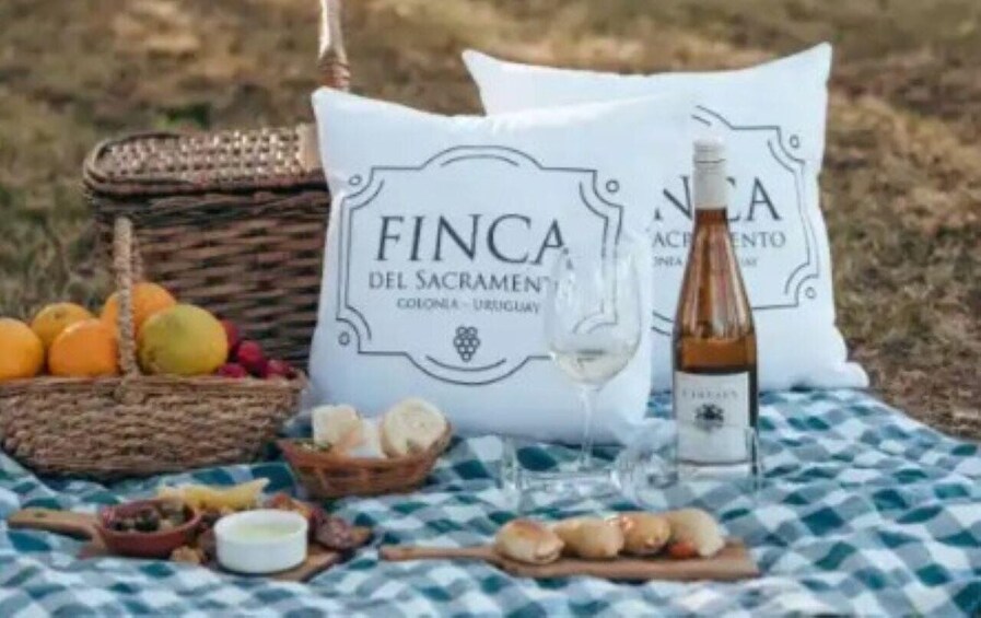 Picture 3 for Activity Colonia del Sacramento: Horseback Ride & Countryside Picnic 5