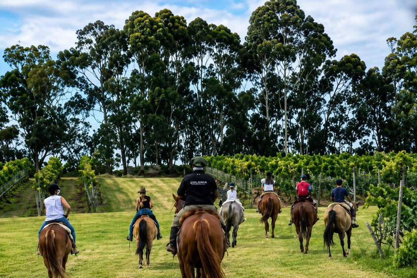 Picture 1 for Activity Colonia del Sacramento: Horseback Ride & Countryside Picnic 4