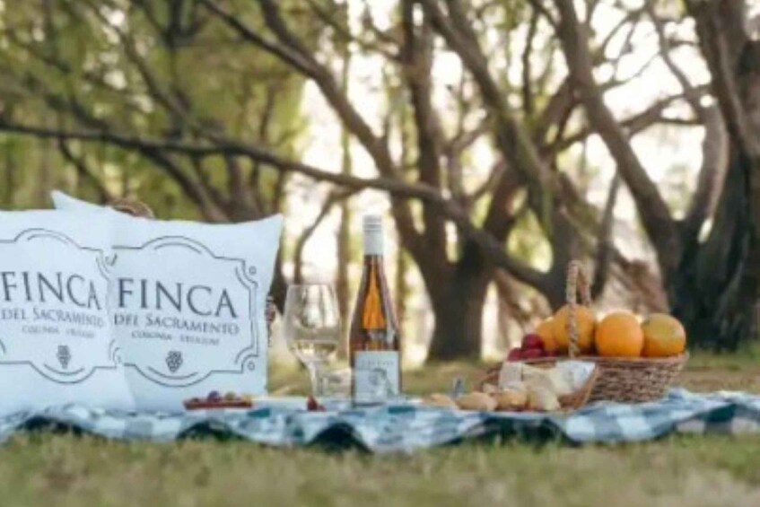 Picture 6 for Activity Colonia del Sacramento: Horseback Ride & Countryside Picnic 2