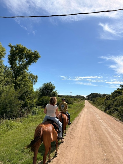 Picture 1 for Activity From Colonia: Horseback Tour Through Rural Landscapes 1