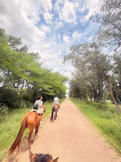 From Colonia: Horseback Tour Through Rural Landscapes 4
