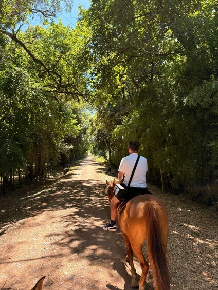 Picture 5 for Activity From Colonia: Horseback Tour Through Rural Landscapes 3