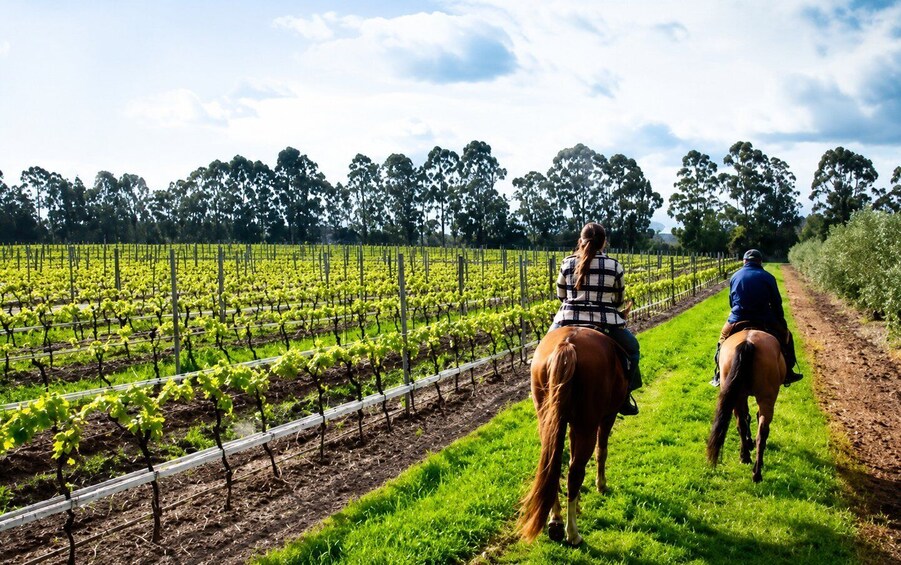 Colonia del Sacramento: Horseback Ride & Countryside Picnic 1