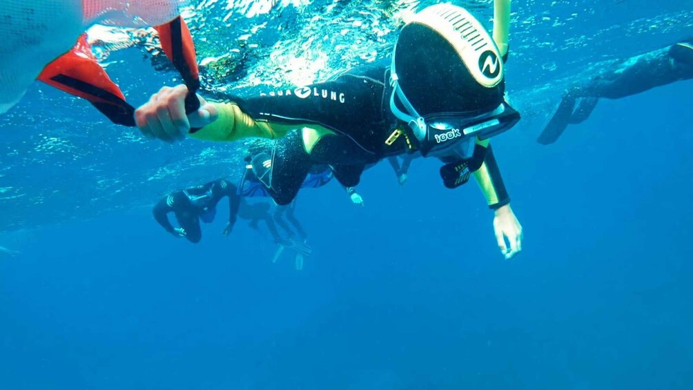 A diver with a snorkel and fins underwater. 3