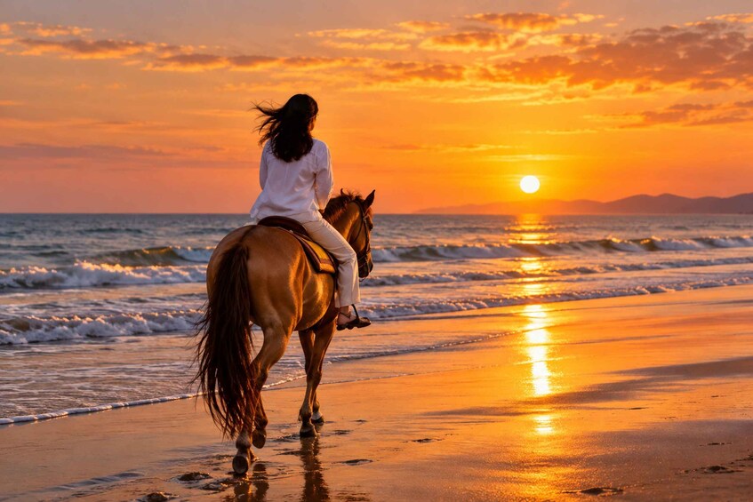 Picture 4 for Activity Bodrum: Beach Horseback Riding with Sunset Option 2