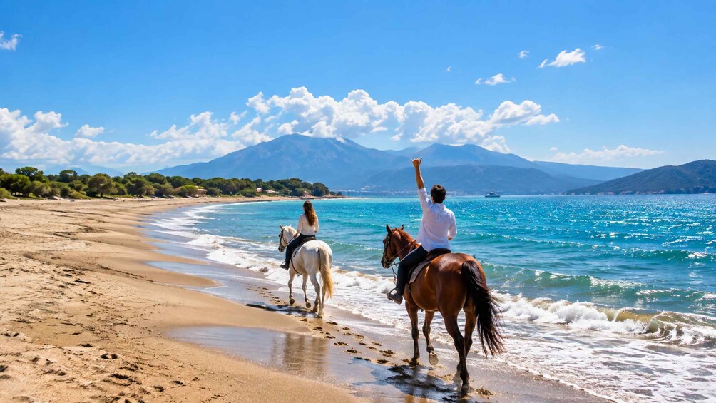 Picture 1 for Activity Bodrum: Beach Horseback Riding with Sunset Option 4