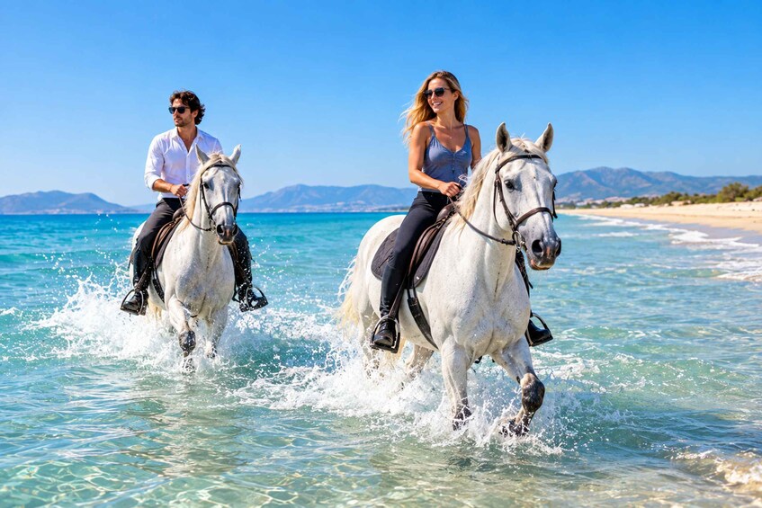 Bodrum: Beach Horseback Riding with Sunset Option 1