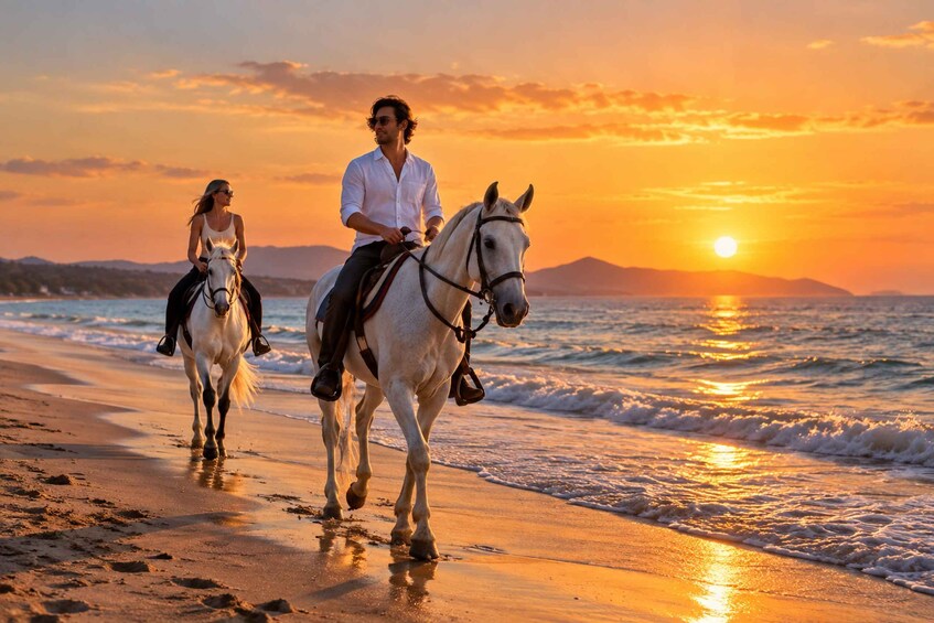 Picture 3 for Activity Bodrum: Beach Horseback Riding with Sunset Option 3