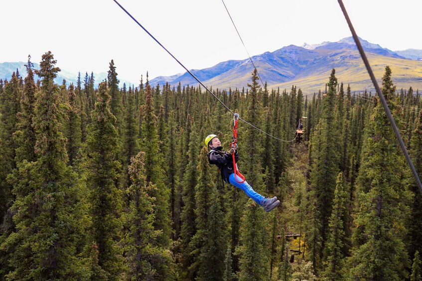 A person suspended in mid-air by a zipline, surrounded by a dense forest and mountains in the background. 5