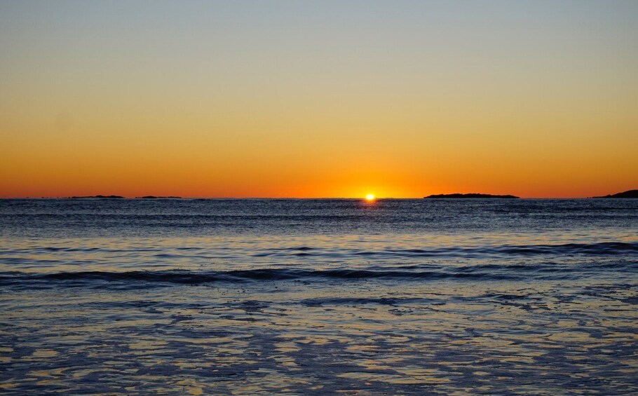 Picture 6 for Activity Sunny Beach: Sunset Catamaran Cruise with Dinner & Prosecco 5