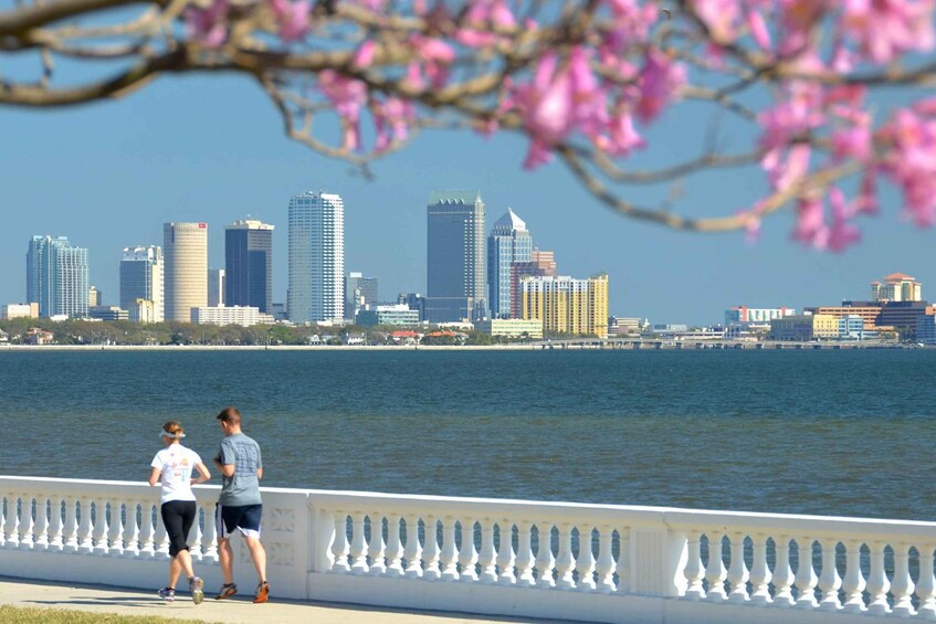 Picture 3 for Activity Local Guide Private Tampa Tour by Golf Cart (Up to 5 riders) 4