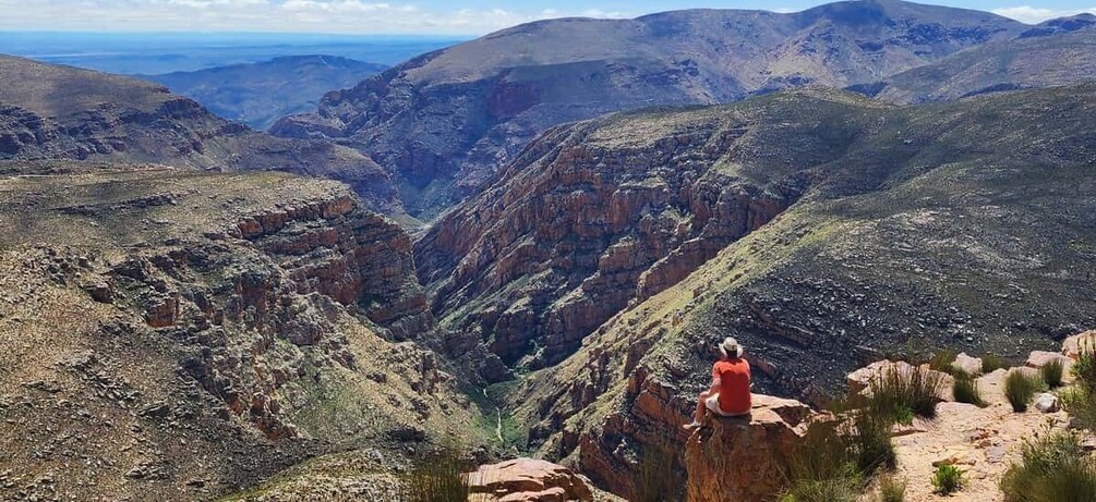A person in a red jacket standing on a rocky outcrop overlooking a canyon with layered rock formations and sparse vegetation. 1