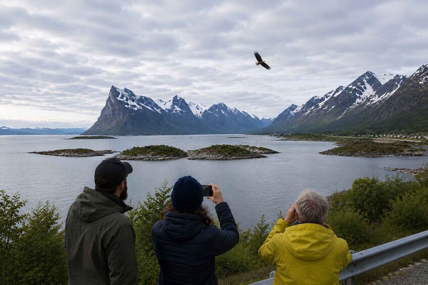 Picture 10 for Activity ⭐Tromsø: Sommarøy Fjord Expedition Tour & VIP Salmon Picnic⭐ 4