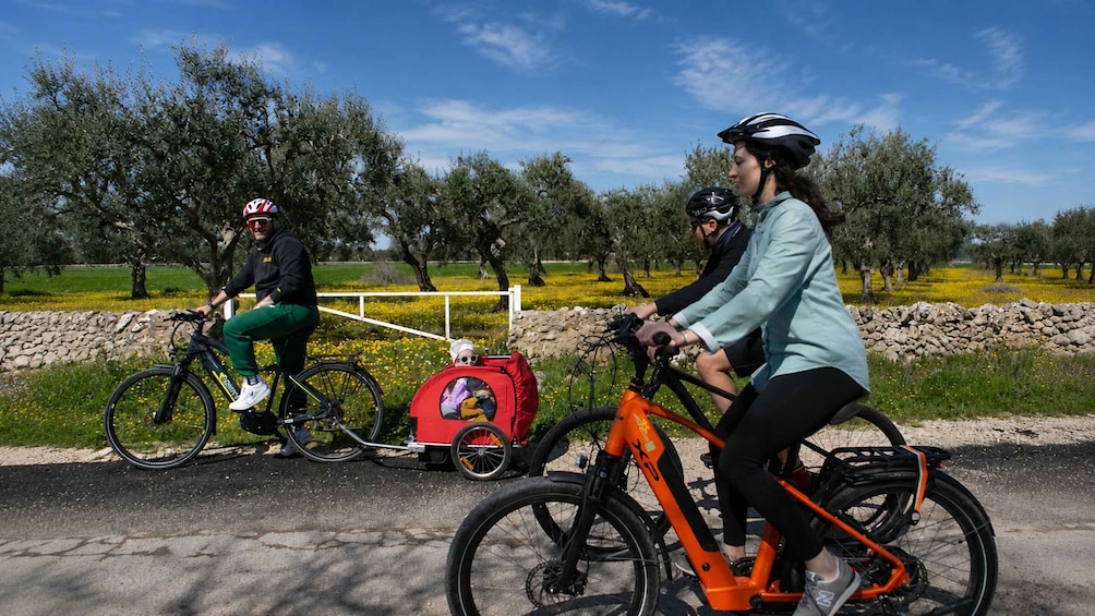 Picture 2 for Activity Puglia: Mozzarella Experience with E-Bike Ride 2