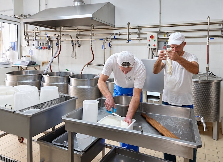 Picture 4 for Activity Gioia del Colle: E-Bike Ride & Mozzarella Cheese Tasting 4