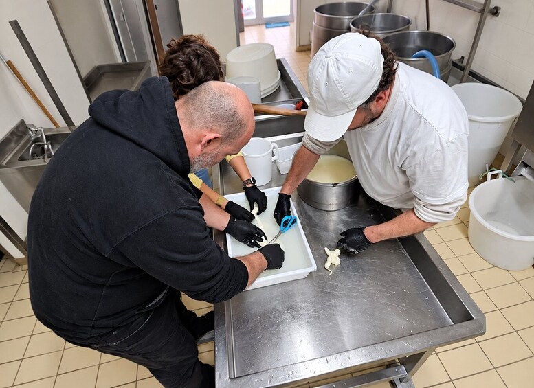 Picture 3 for Activity Gioia del Colle: E-Bike Ride & Mozzarella Cheese Tasting 4