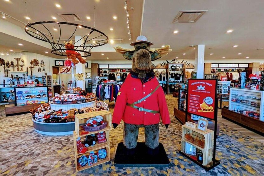 Picture 5 for Activity Private: Niagara Falls Full day tour from Toronto 2