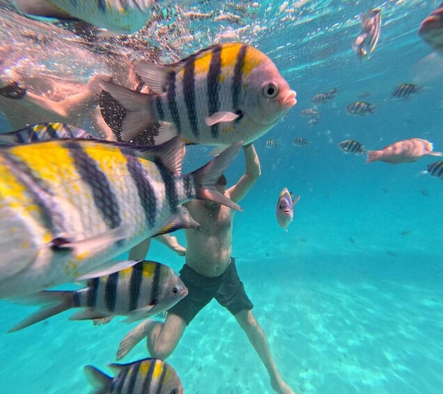 Picture 22 for Activity Mnemba Island: Dolphin Swim & Snorkeling with Optional Lunch 4