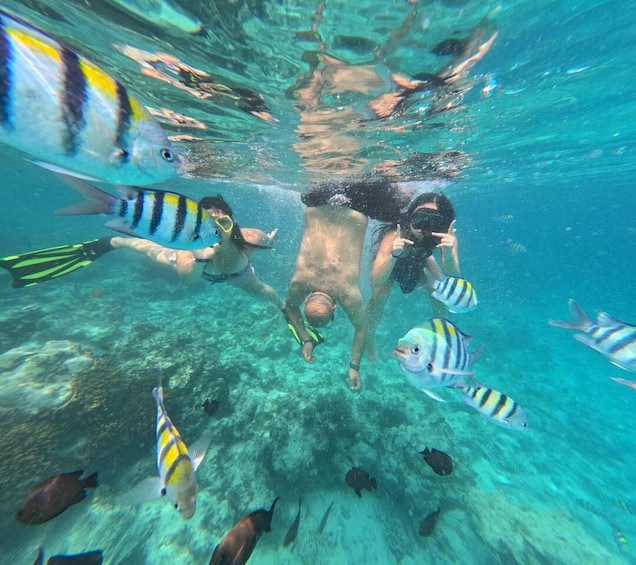 Picture 24 for Activity Mnemba Island: Dolphin Swim & Snorkeling with Optional Lunch 2