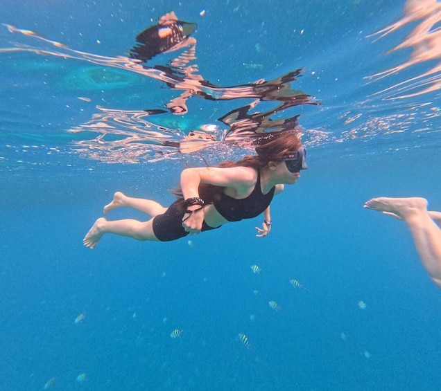 Picture 23 for Activity Mnemba Island: Dolphin Swim & Snorkeling with Optional Lunch 4
