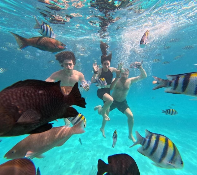 Mnemba Island: Dolphin Swim & Snorkeling with Optional Lunch 1