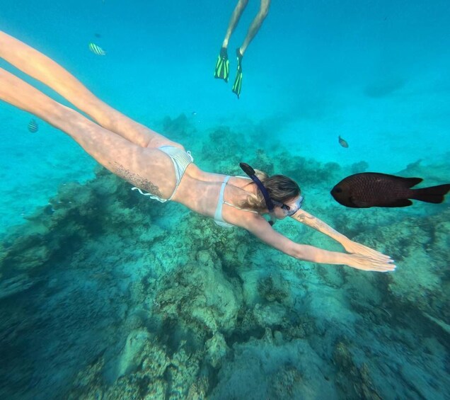 Picture 18 for Activity Mnemba Island: Dolphin Swim & Snorkeling with Optional Lunch 5