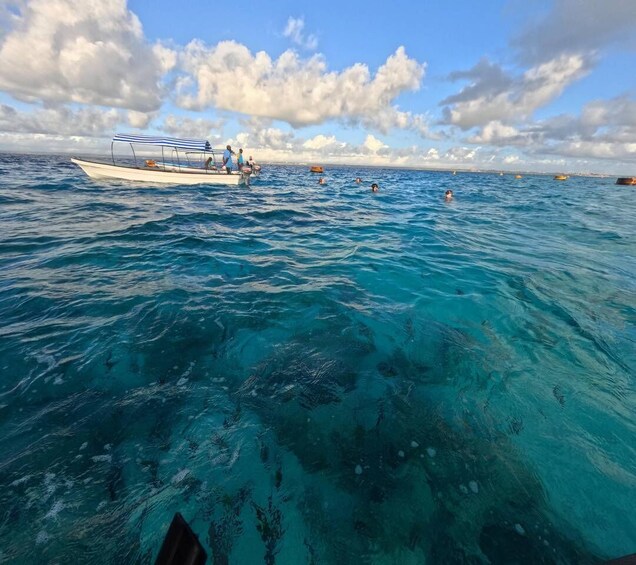Picture 27 for Activity Zanzibar: Mnemba Island Dolphin Swim & Snorkel, opt lunch 3