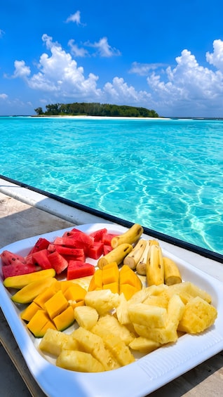 Picture 3 for Activity Zanzibar: Mnemba Island Dolphin Swim & Snorkel, opt lunch 3