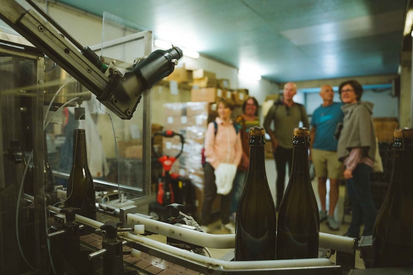 Picture 5 for Activity Loire Valley: Vouvray Vineyard Tour and Wine Tasting 2