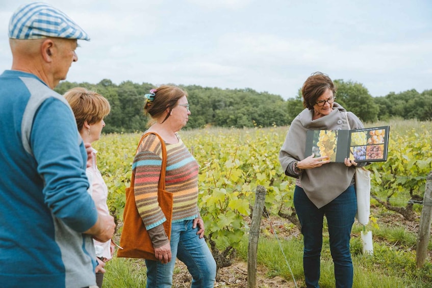 Picture 4 for Activity Loire Valley: Vouvray Vineyard Tour and Wine Tasting 5