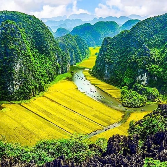 A river winding through terraced rice fields surrounded by lush green hills. 4