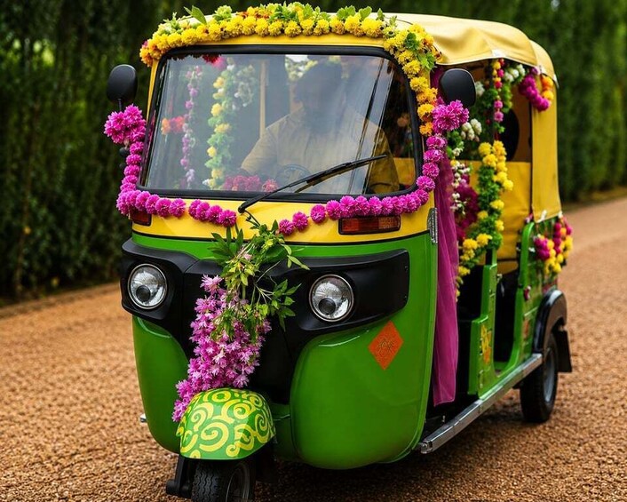 Jaipur: Full-Day Private Sightseeing Tour by Tuk Tuk 2