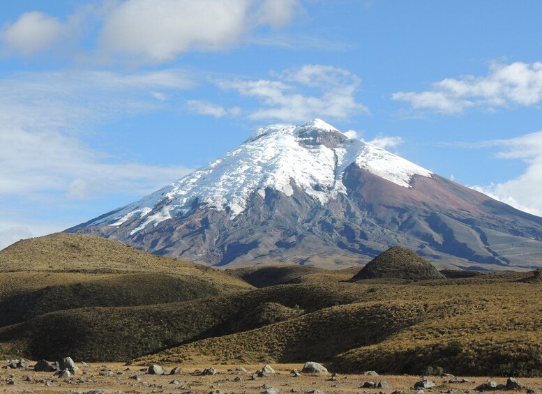 Picture 32 for Activity From Quito: Horseback Ride & Cotopaxi National Park Day Trip 5