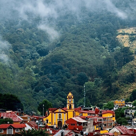 A town with colorful buildings, a prominent yellow church with a clock tower, and a lush green forested hillside in the background. 4
