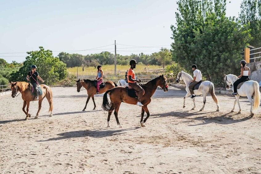 Picture 4 for Activity Mallorca: Guided Horseback Ride in Randa Valley 1