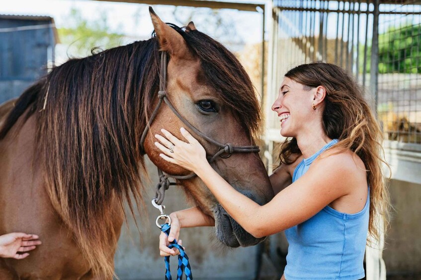 Une personne caresse un cheval dans une écurie. 5