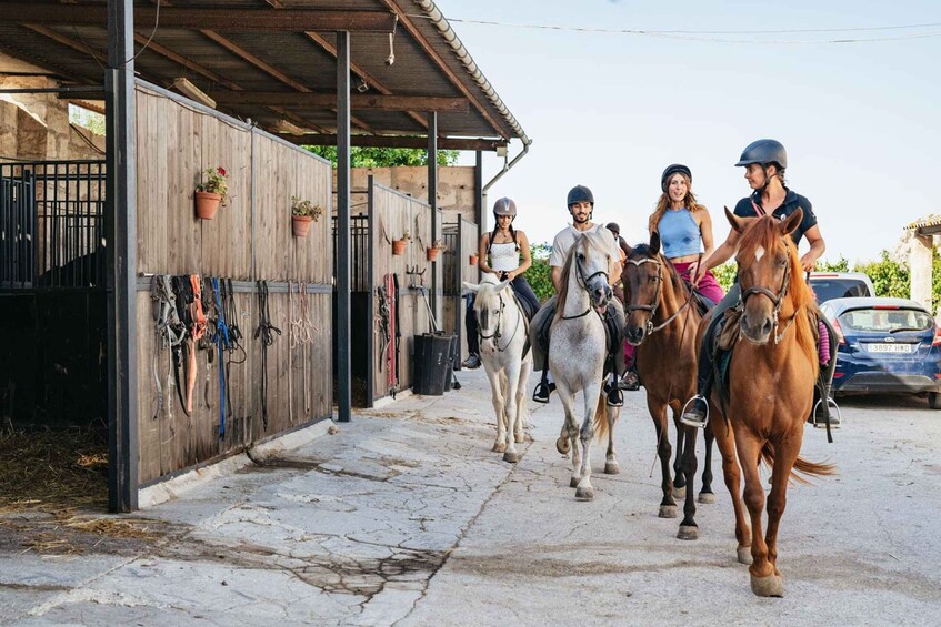 Picture 11 for Activity Mallorca: Guided Horseback Ride in Randa Valley 3