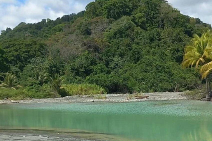 A tropical beach with clear turquoise water, a small boat, and lush green vegetation. 5