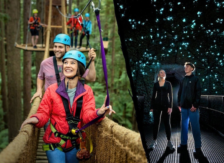Redwoods Altitude High Ropes & Ziplines + Glowworms, Rotorua 1