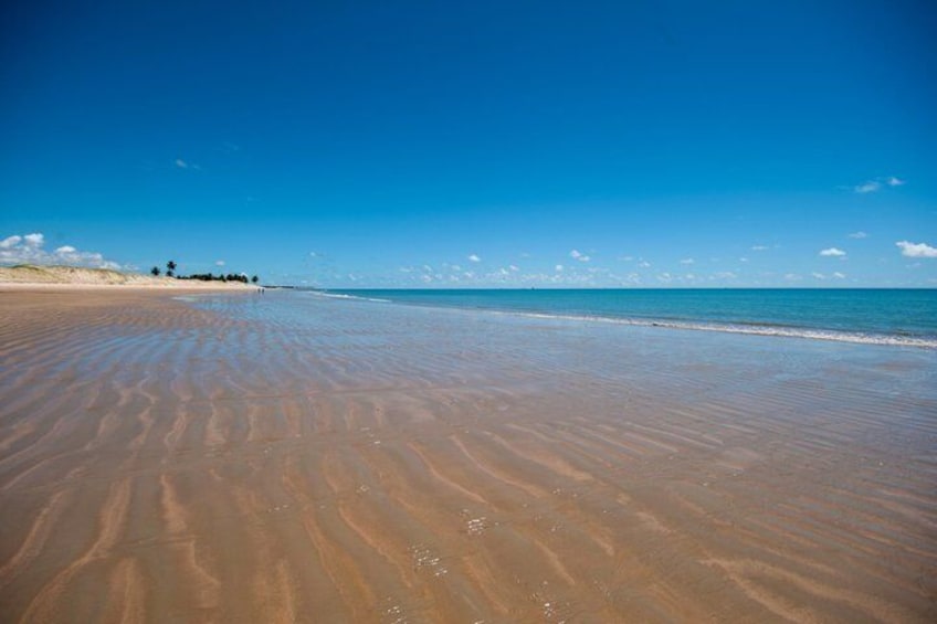 A sandy beach with gentle waves and a clear blue sky. 5