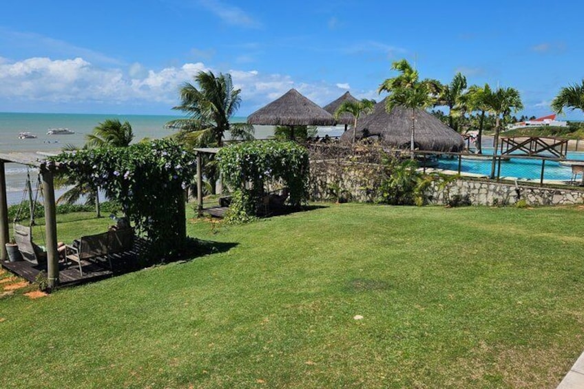 A grassy yard with a pool, palm trees, and thatched-roof structures. 2