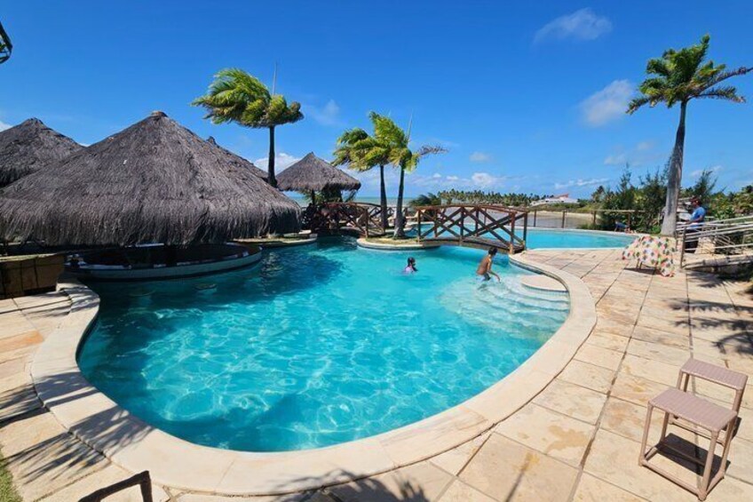 A clear blue pool with palm trees, a thatched-roof structure, and a wooden bridge. 3