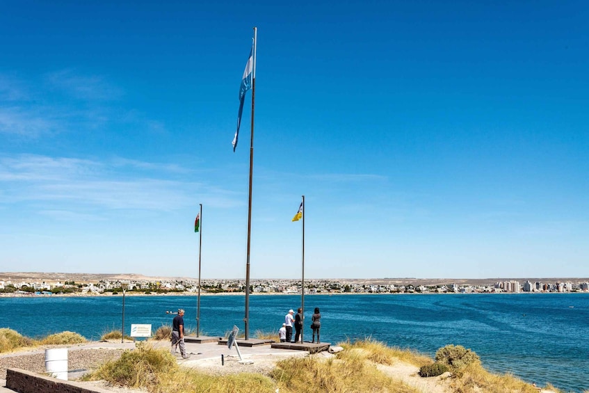 Picture 11 for Activity Puerto Madryn: Punta Loma Sea Lions & City Shore Excursion 5